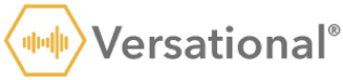 Improving the Testing Process for the Versational AI Platform - 2